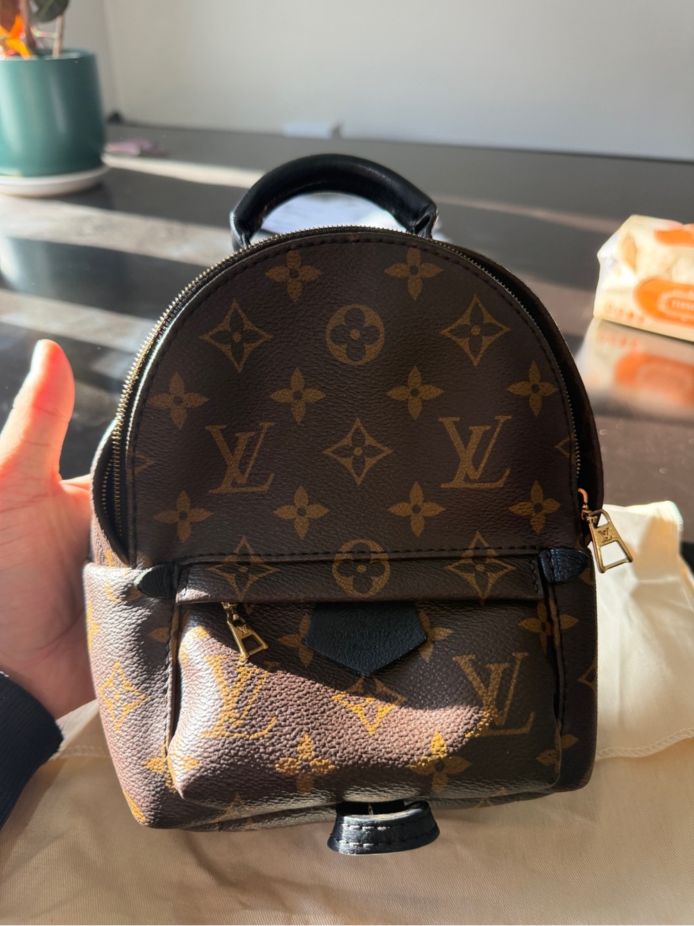 Louis Vuitton Brown Monogram Palm Springs Mini Backpack